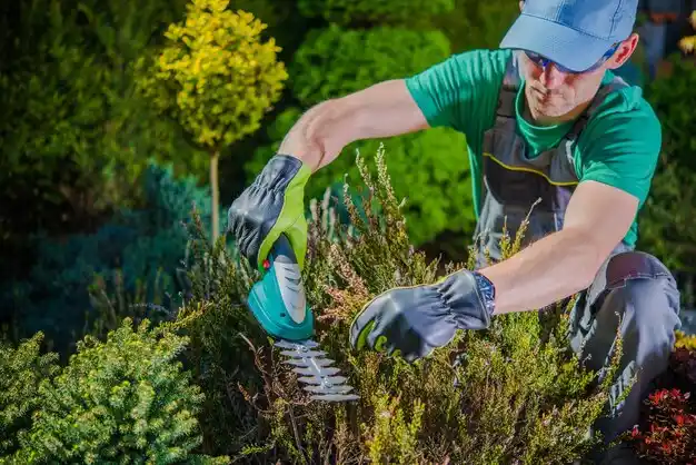 landscaping services Candlewood Lake